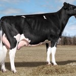 Ms-Welcome-Colby-Taya-ET-TY-VG-88
