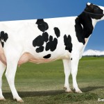 Miss OCD Robust DELICIOUS ET VG 87